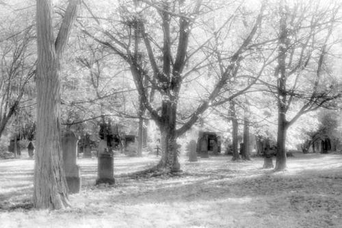 Infrarotaufnahme auf Kodak HIE Alter Friedhof Freiburg 1995